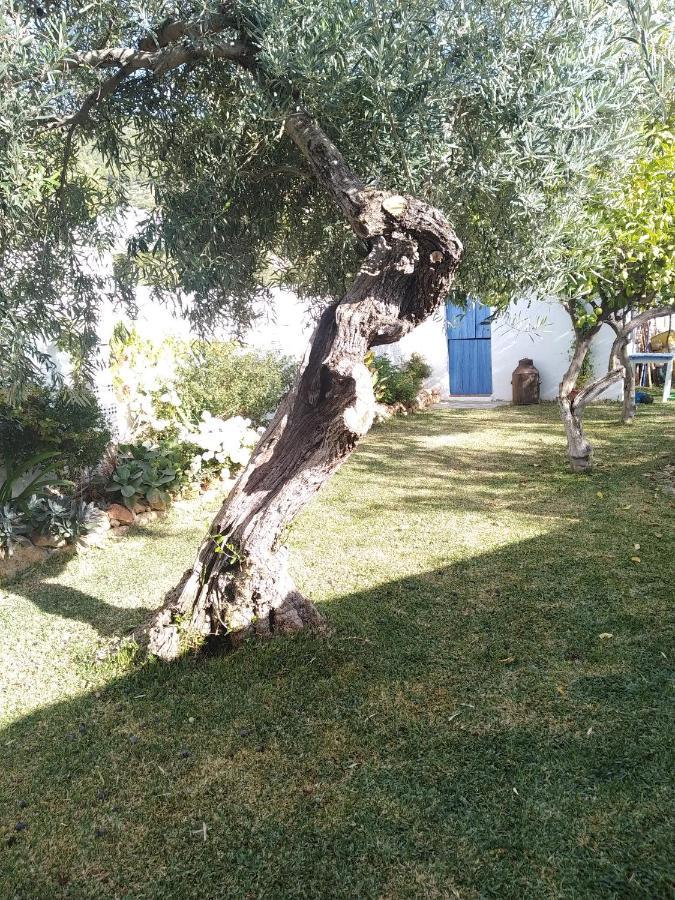 Villa Pitillas Algodonales Esterno foto